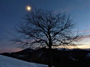 89 Ulitima foto...sfuocata con la luna in cielo